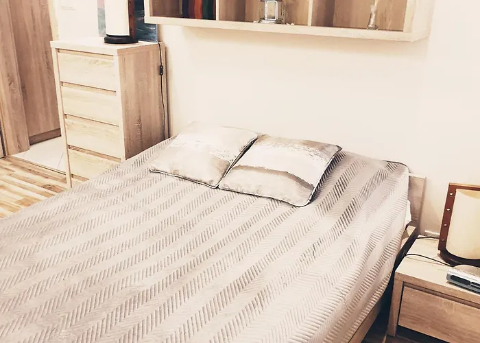 Wici 2 Apartments Teofilow Wodny Raj