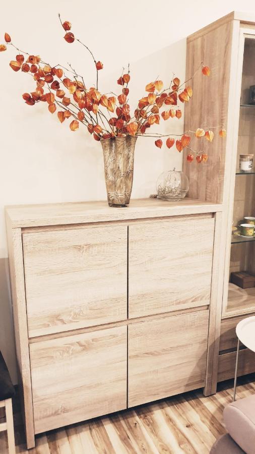 Apartament Wici 2 Teofilow Wodny Raj